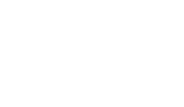 p a p a r o m e o